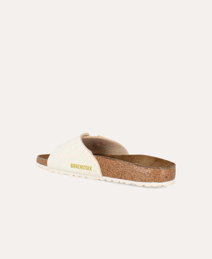 catalina cushion buckle