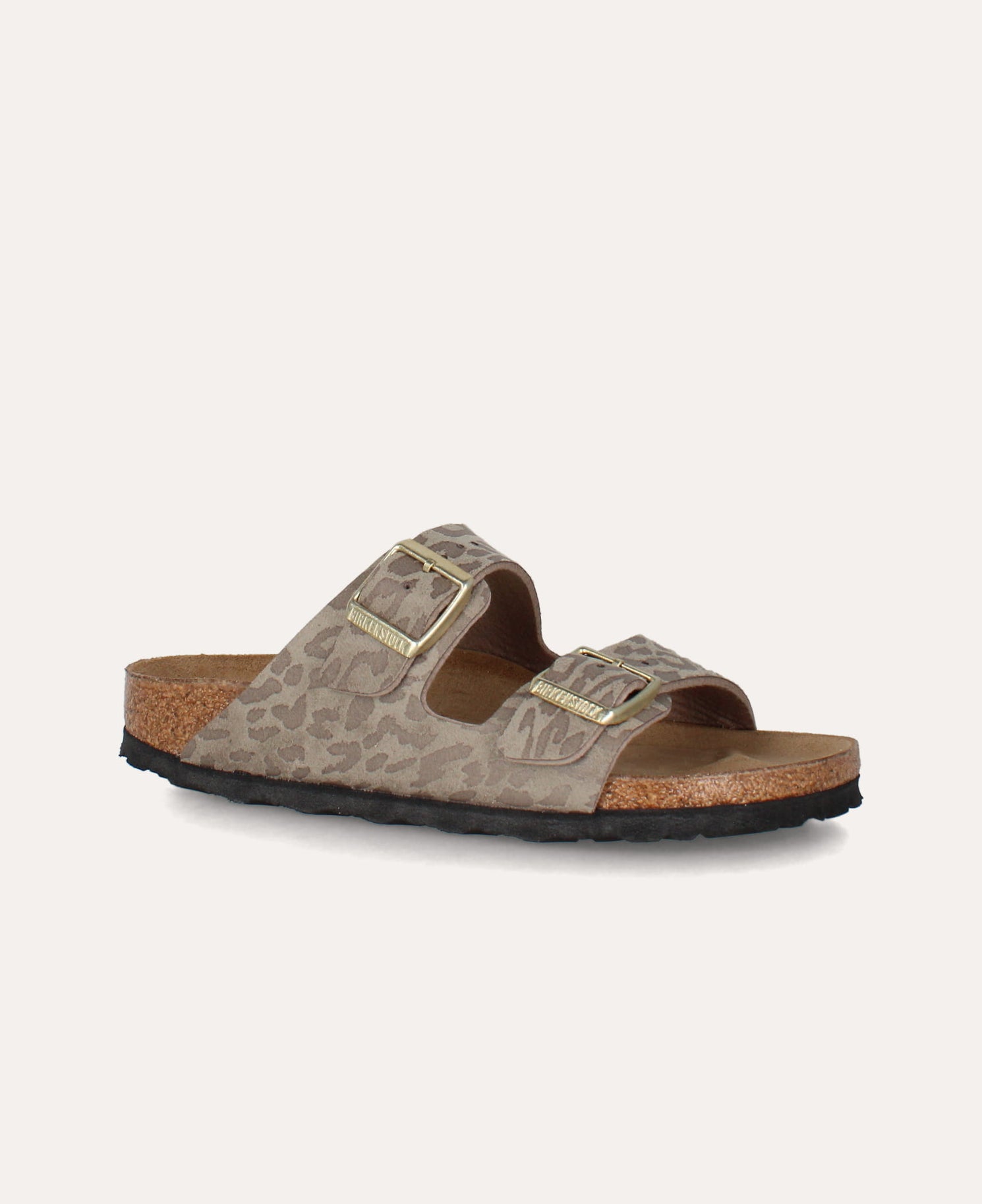 arizona bs f/