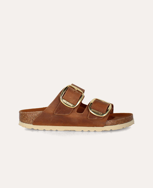 arizona big buckle