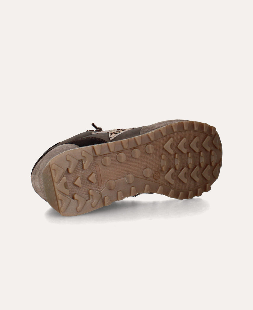 c-1259 f