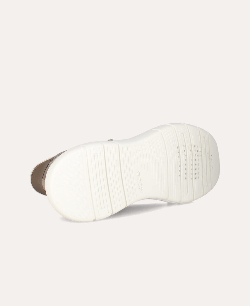 d plummery plus