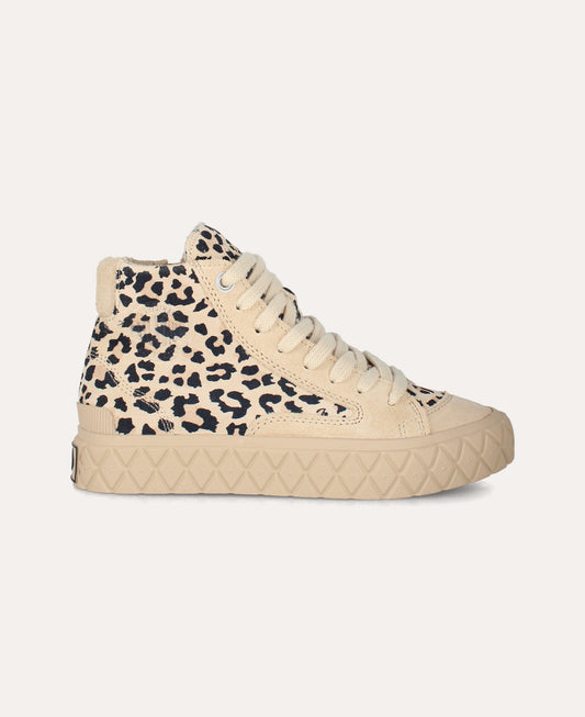 palla ace chukka f