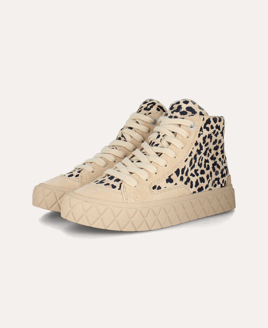 palla ace chukka f